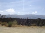 Bejar 015 (Small).jpg