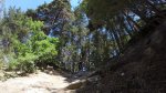 vlcsnap-2015-06-29-23h30m53s437.jpg