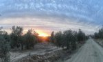 DSC07065-01.jpeg