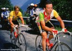 tdf86-lemond-hinault-alpe-920.jpg