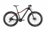 fatbike-29er-01-gran.jpg