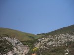 ARRUDOS 017.JPG
