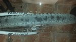 20150705_123612.jpg