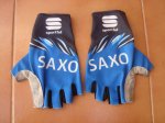 Saxo 7.jpg