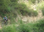 IMG_0186.JPG