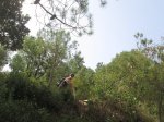 IMG_0247.JPG