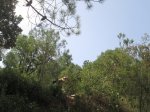 IMG_0248.JPG