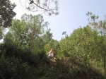 IMG_0250.JPG