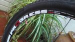 IMG-20150630-WA0028.jpeg