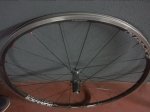 20150516_114426.jpg