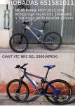 FOXY Y HORQUILLA-TEL.JPG