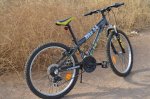 bici4.jpg