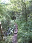 IMG_20150513_145851.jpg