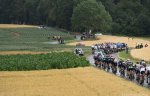 tdf15st05-forest.jpg