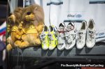 tdf15st06bb-lions.jpg
