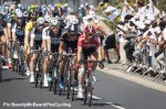 tdf15st06bb-peloton1.jpg