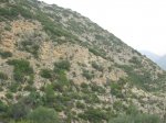 IMG_0278.JPG