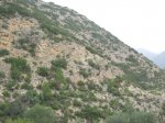 IMG_0279.JPG