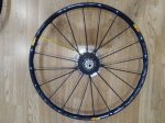 mavic trasera.jpg