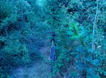 IMG_20150624_193356.jpg