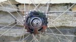 20150713_173959.jpg