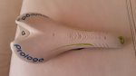 20150714_140356.jpg