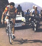 bahamontes1.jpg