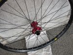 DSC01100.JPG