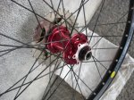 DSC01103.JPG