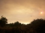 incendio 07 028.jpg