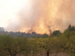 incendio 07 036.jpg