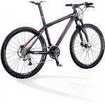SCOTT SCALE LTD 08.jpg