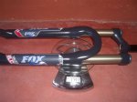 foxRLC90130_01.JPG