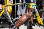 tdf15st10bb-824leg.jpg