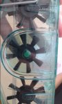 20150716_160438.jpg