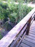 foto0418.jpg