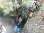 IMG_0309.JPG