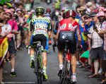 tdf15st14bb-513back.jpg