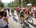tdf15st14bb-604bunch.jpg