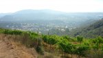 SERRALADA 19-7-2015 004.JPG