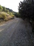 culebrillas.jpg