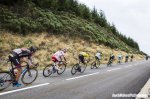 tdf15st15bb-purito-920.jpg