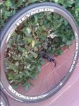 20150722_202046.jpg