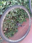 20150722_202055.jpg