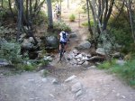 DSC08332WG.jpg