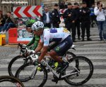 tdf15st21cmc-rodent-920.jpg