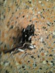 20150727_165254.jpg