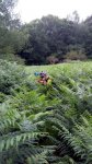 IMG-20150720-WA0004.jpg