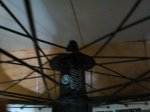 IMG_20150728_180441.jpg
