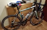 madone.jpg